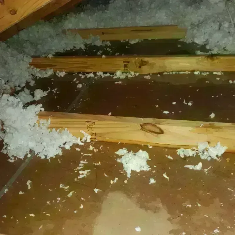 Attic Water Damage in Marathon, WI