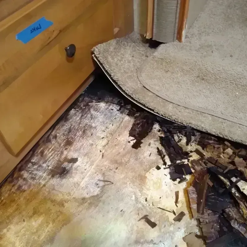 Wood Floor Water Damage in Marathon, WI